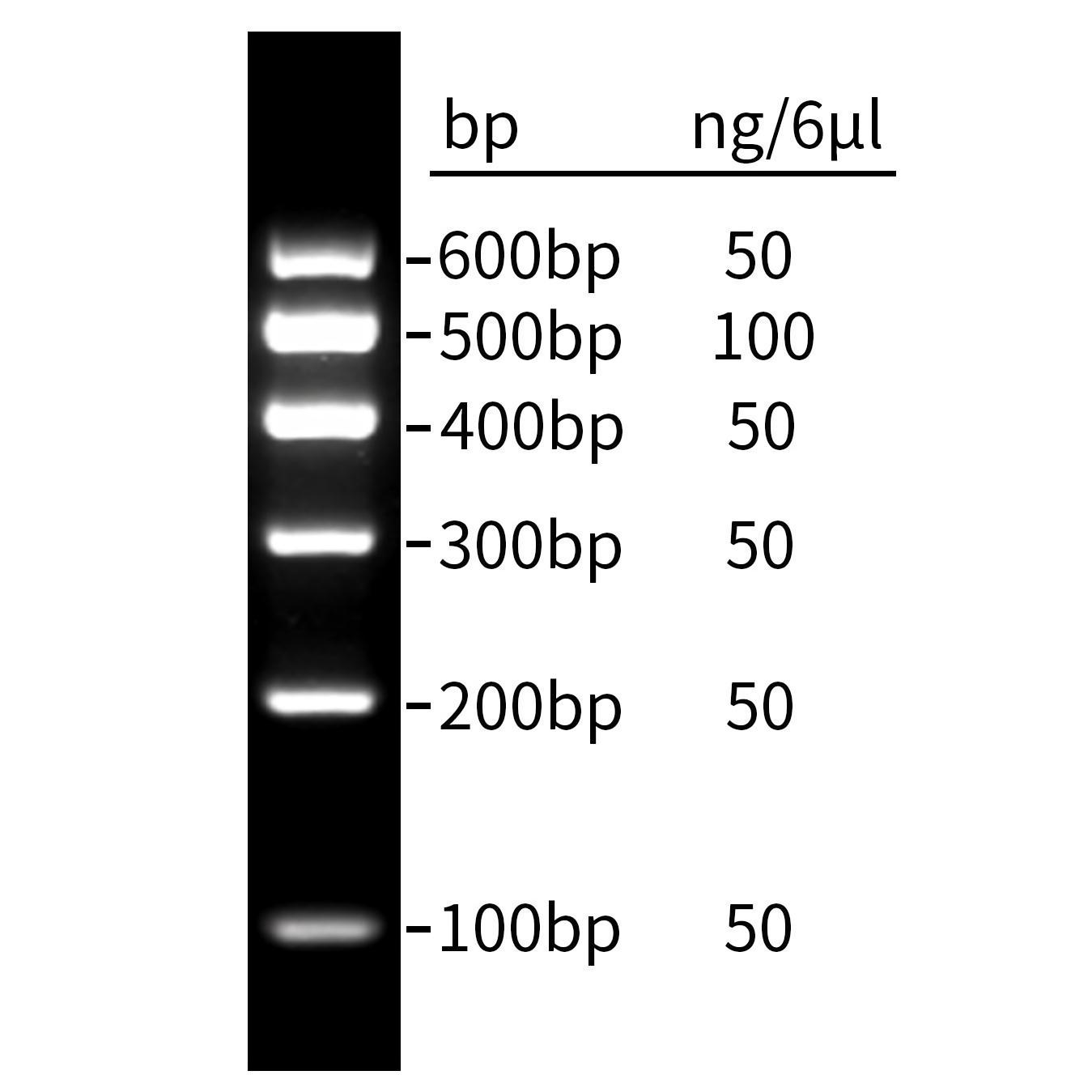 DNA Ladder(100～600bp，含LoadRed)