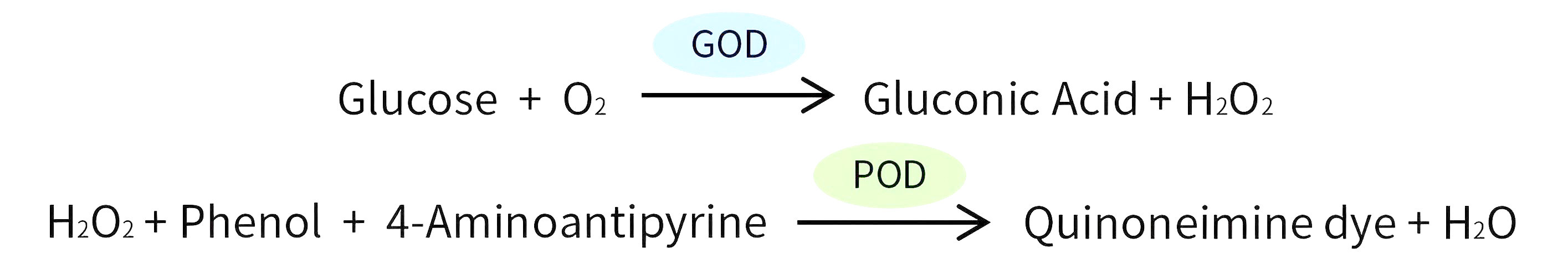 葡萄糖检测试剂盒(GOD/POD催化显色) 葡萄糖检测试剂盒(GOD/POD催化显色)