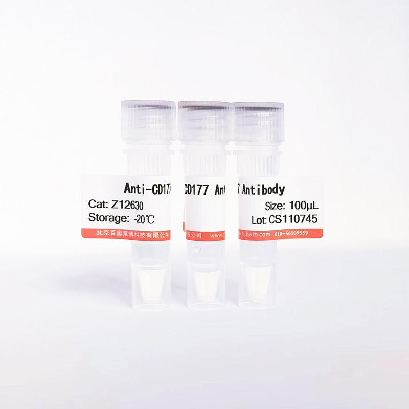 CD177抗体图片 CD177抗体图片