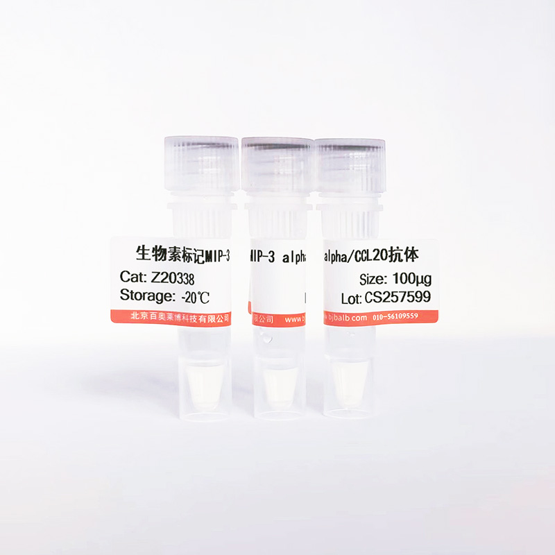 生物素标记MIP-3 alpha/CCL20抗体图片