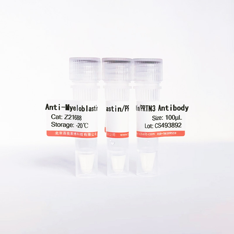 Myeloblastin/PRTN3抗体图片