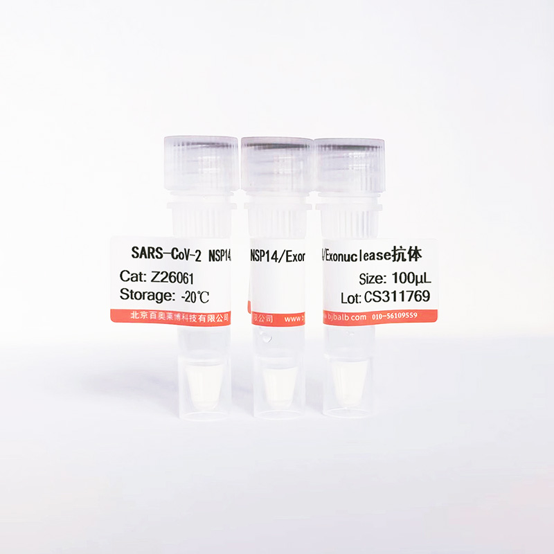 SARS-CoV-2 NSP14/Exonuclease抗体图片