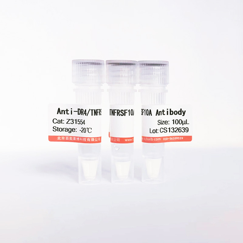 DR4/TNFRSF10A抗体图片 DR4/TNFRSF10A抗体图片