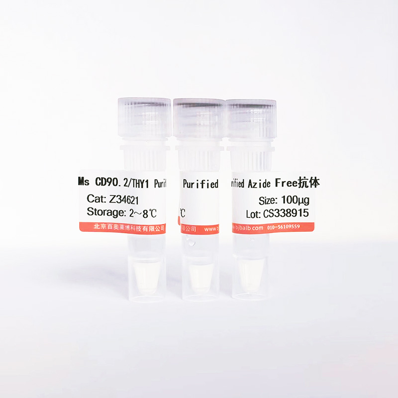 Ms CD90.2/THY1 Purified Azide Free抗体图片
