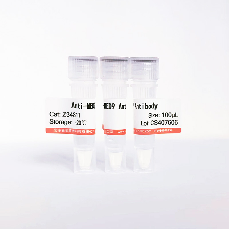 MED9抗体图片