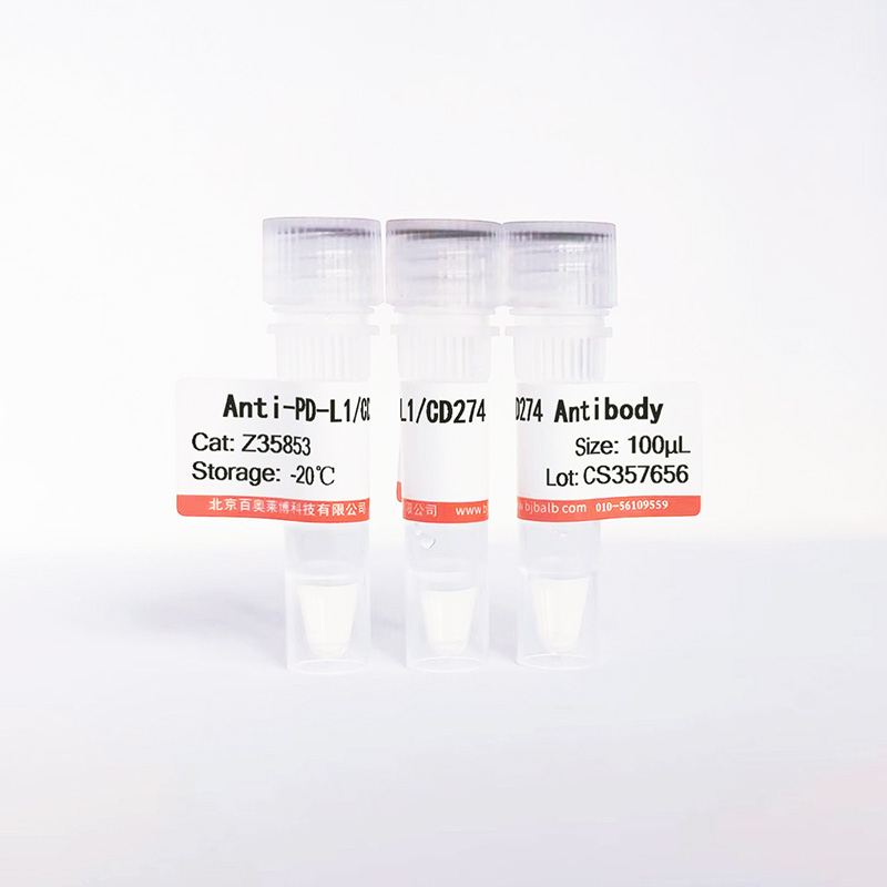 PD-L1/CD274抗体图片 PD-L1/CD274抗体图片