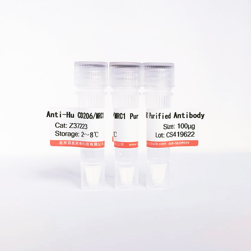 Hu CD206/MRC1 Purified抗体图片 Hu CD206/MRC1 Purified抗体图片