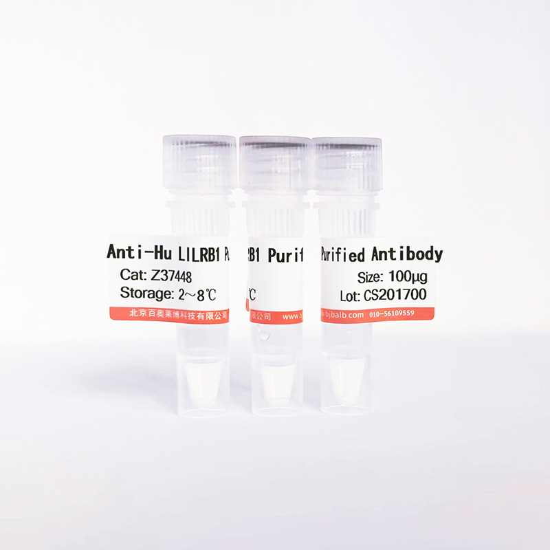 Hu LILRB1 Purified抗体图片