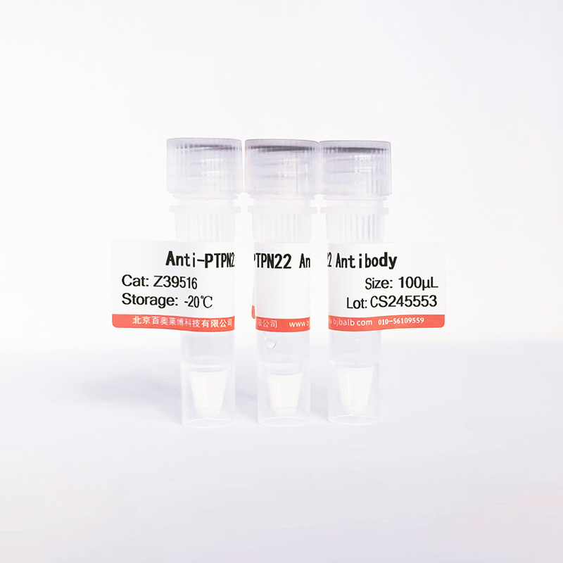 PTPN22抗体图片